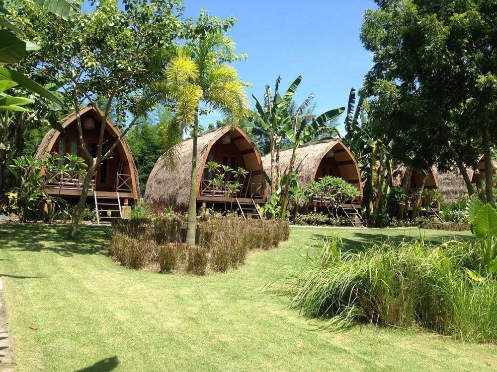 tre capanne con tetto di paglia in un prato erboso di Ekas Breaks Resort a Ekas