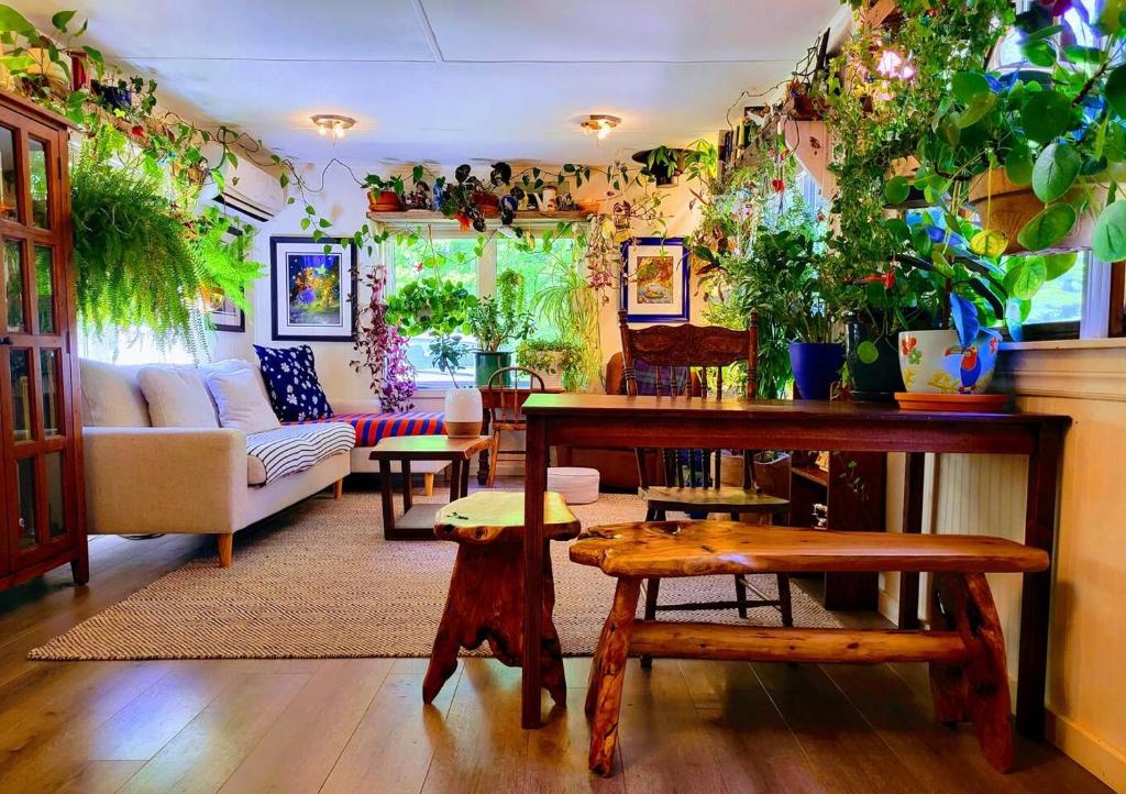 a living room filled with lots of plants at Miracles on Polly in Surrey
