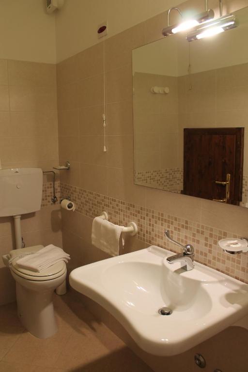 łazienka z umywalką, toaletą i lustrem w obiekcie Agriturismo Le Casette w mieście Castelvetro di Modena