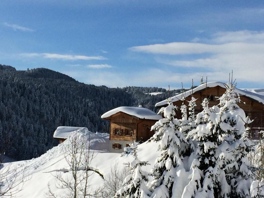 un lodge de ski avec des arbres enneigés devant lui dans l'établissement Chalet confortable avec sauna, Wi-Fi et parking privé - FR-1-671-21, aux Gets