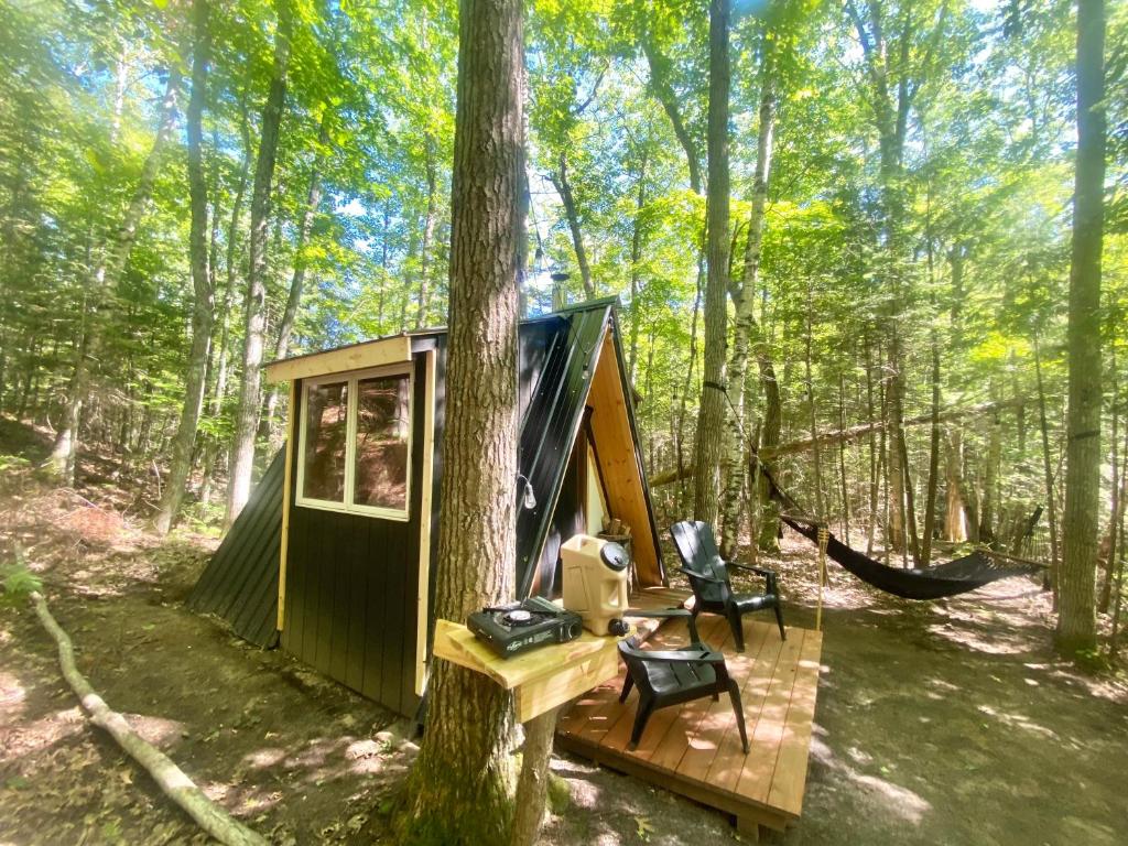 a cabin in the woods with a tree at Sailor Springs Glamping in Bayfield