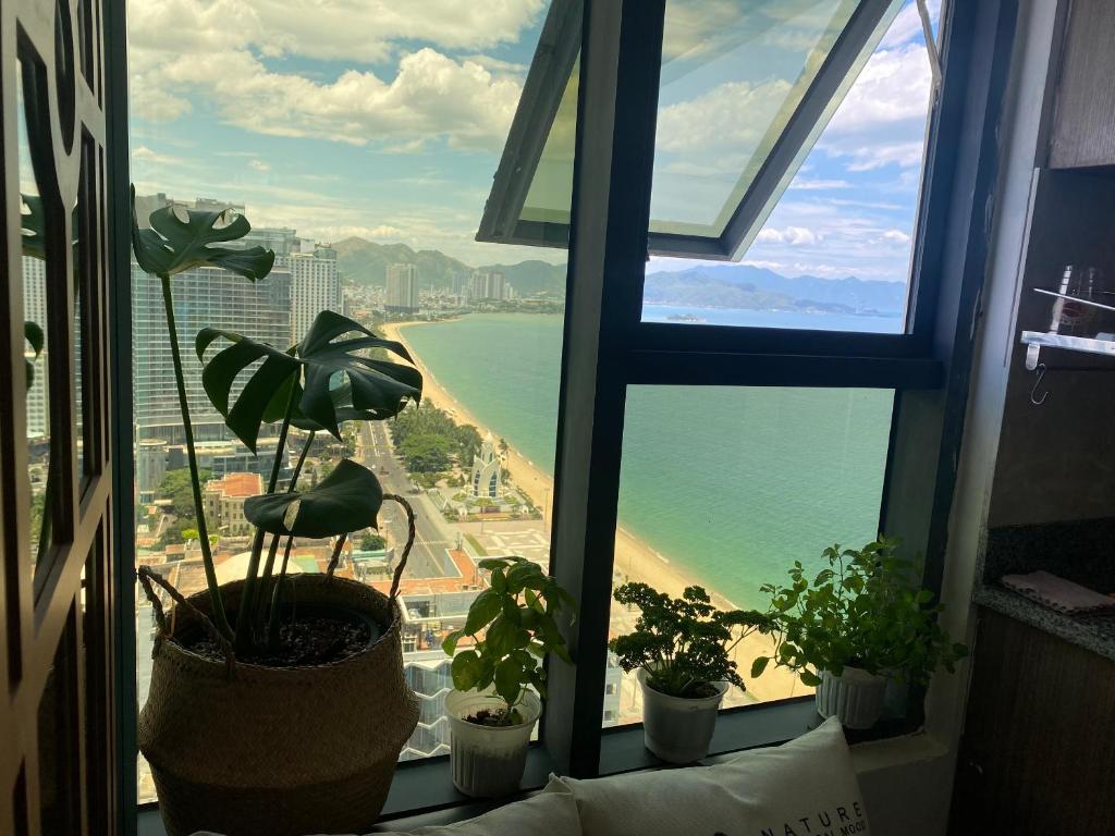 a window with potted plants and a view of the ocean at Mường Thanh Nha Trang-Anna House in Nha Trang