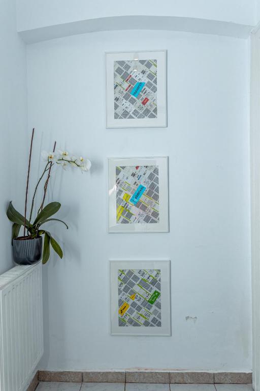 Fotografie z fotogalerie ubytování First Hostel Bucur 21 v Bukurešti