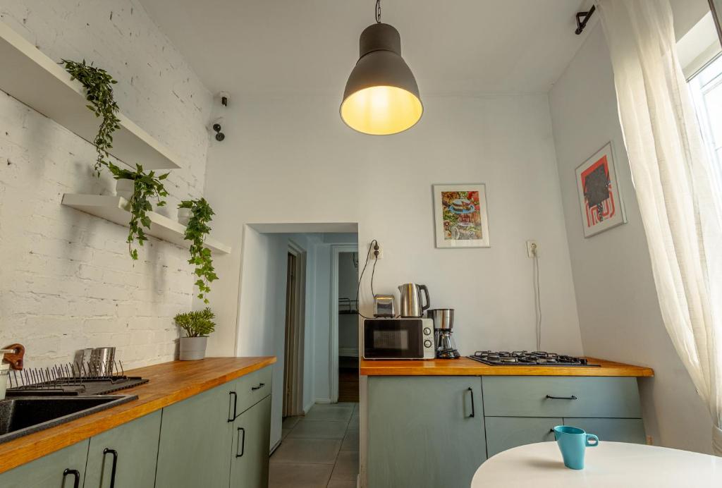 Kuchyň nebo kuchyňský kout v ubytování First Hostel Bucur 21