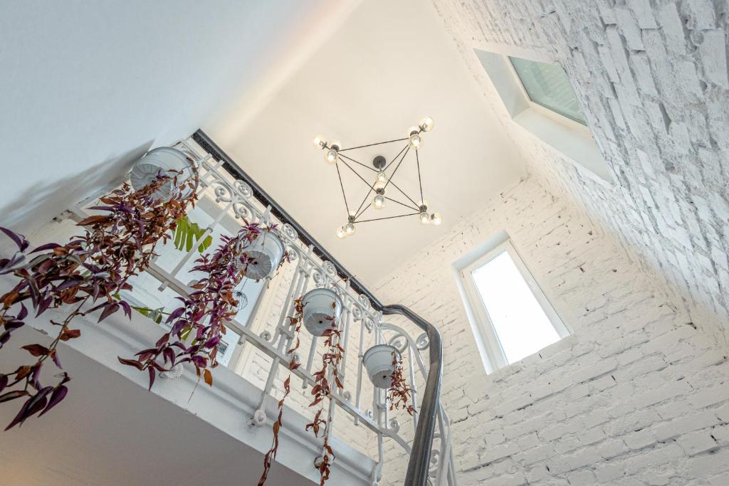 Fotografie z fotogalerie ubytování First Hostel Bucur 21 v Bukurešti