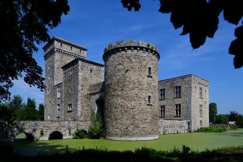 an old castle with a tower on a green field at Le Nid du Sanglier in Verlaine