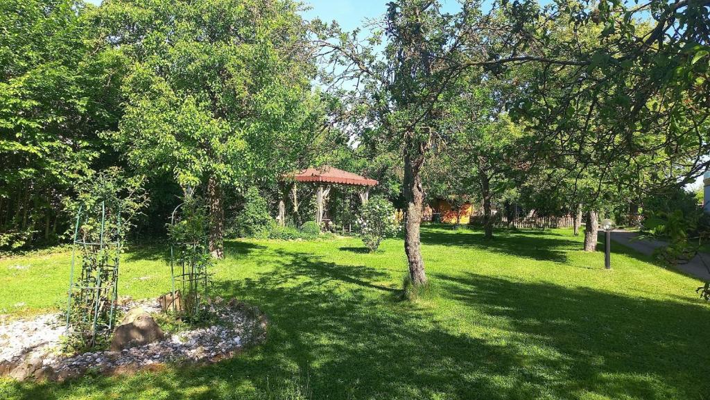 een tuin met een tuinhuisje in het midden van een veld bij Ferienwohnung Margit in Sulzfeld