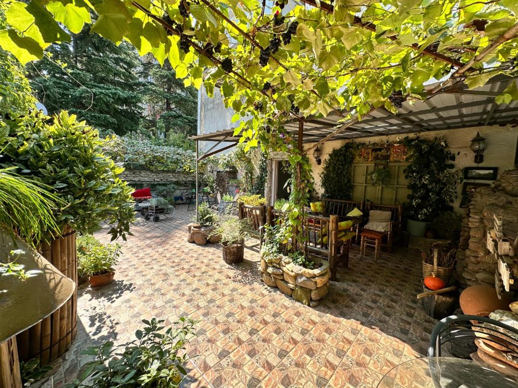 a patio with a bunch of potted plants and a table at In House in Tbilisi City