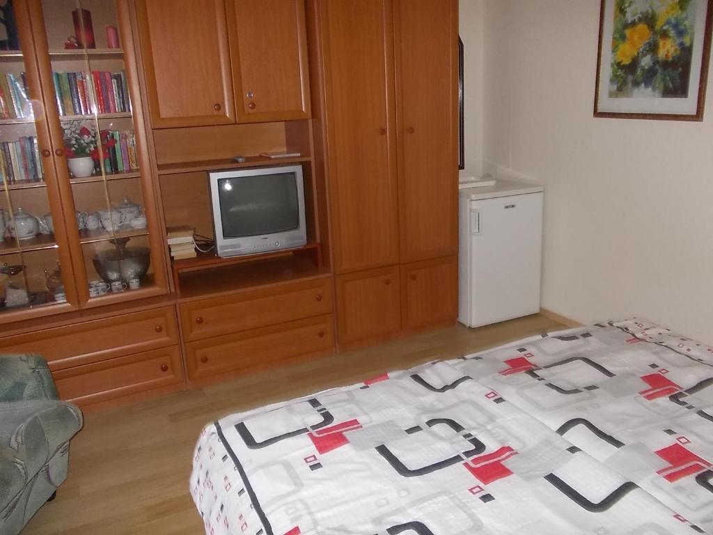 Kuchyň nebo kuchyňský kout v ubytování Judit Vendégház