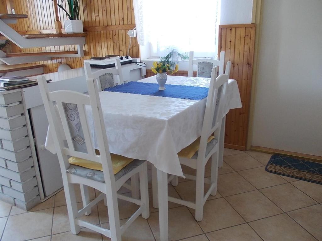 Kuchyň nebo kuchyňský kout v ubytování Judit Vendégház