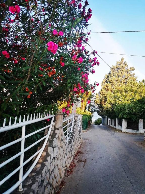 Zahrada ubytování Apartmani LJUBICA