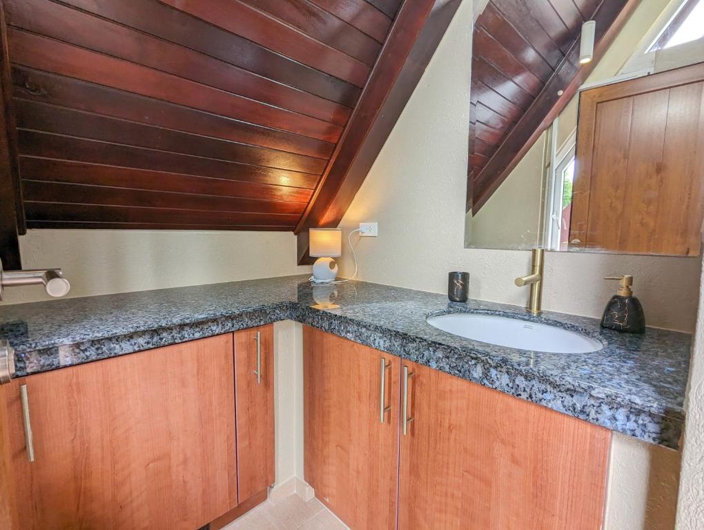 Kuchyň nebo kuchyňský kout v ubytování Villa Manipura
