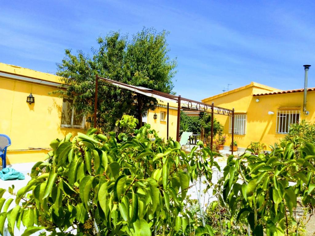 2 cosy holidayhomes near Valencia, Torrent – Precios ...