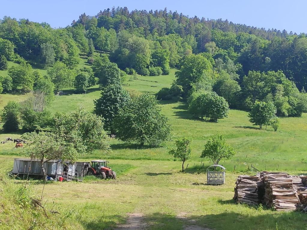 un campo con un viejo camión en el césped en Les studios du frankenthal, en Stosswihr