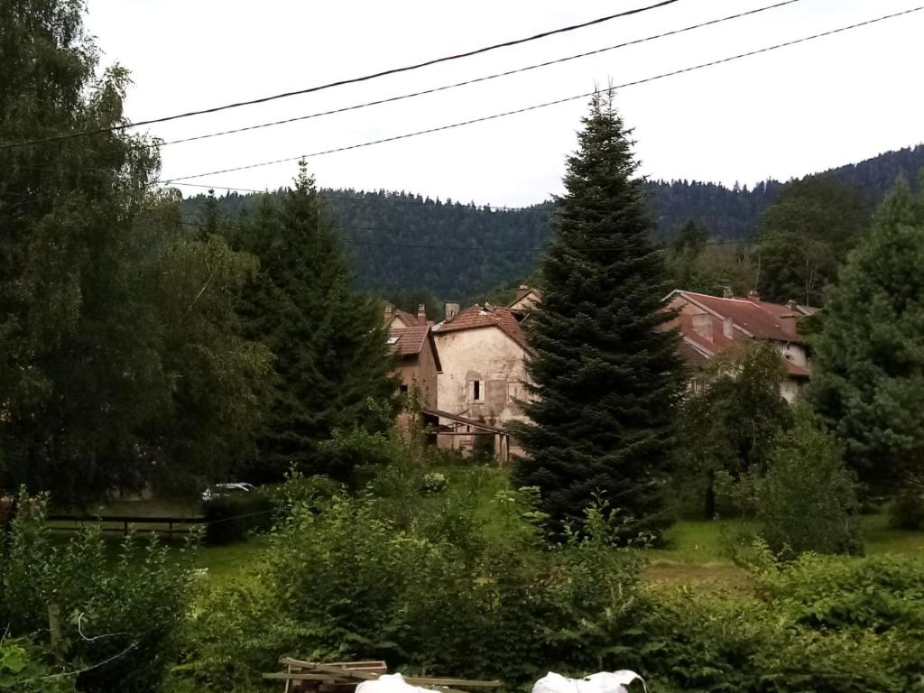 ein Haus inmitten eines Feldes mit Bäumen in der Unterkunft Gîte "À Moussey vous" 