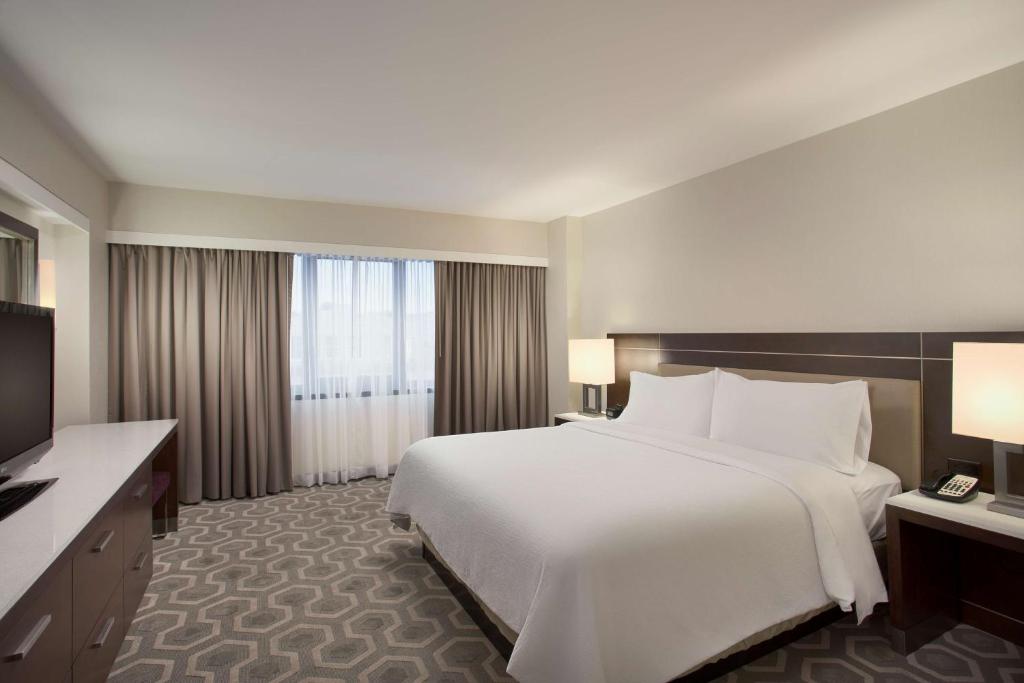 Embassy Suites by Hilton Washington D.C. Georgetown - Executive King Suite - Non-Smoking