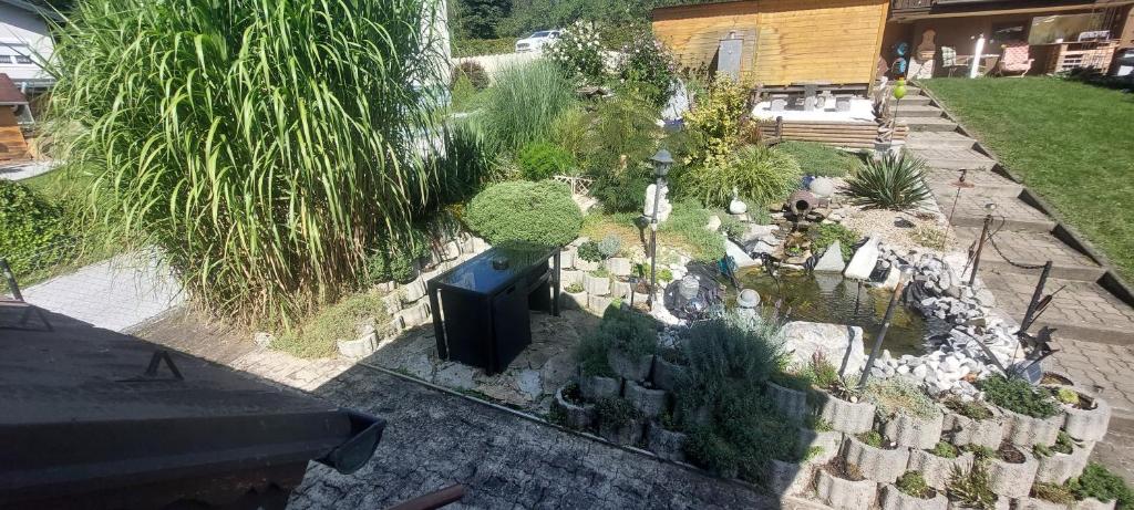 Zahrada ubytování Ferienhaus Erika