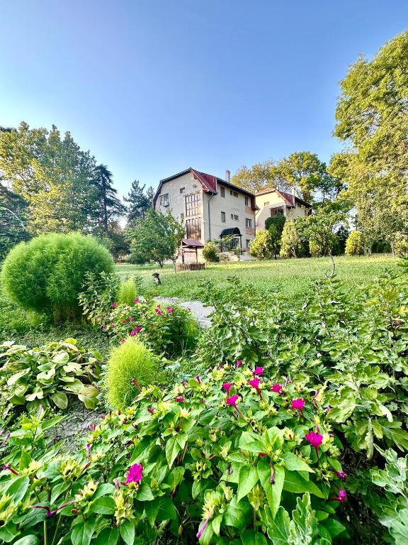 a garden with pink flowers in front of a house at Sunsilva in Olimp