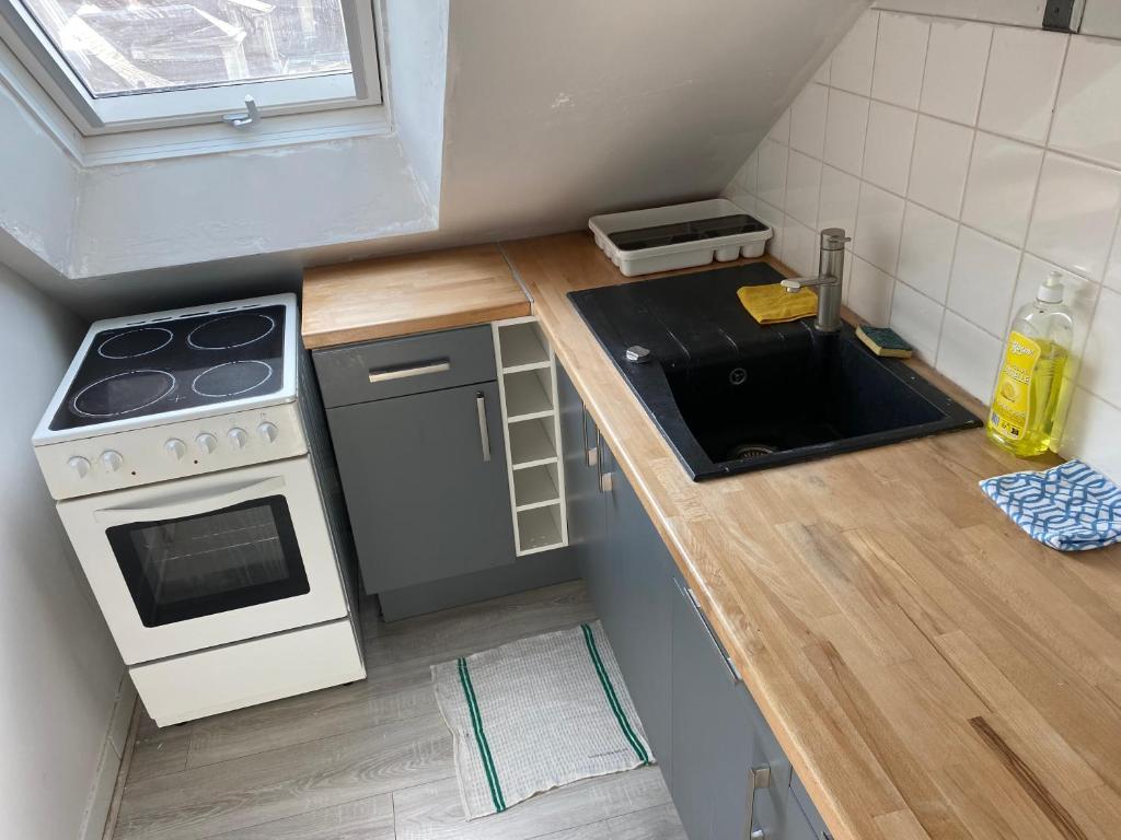 a small kitchen with a stove and a sink at Studio confortable centre-ville in Tours