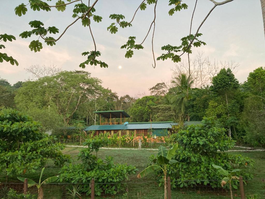 Zahrada ubytování YEJOS Jungle Lodge