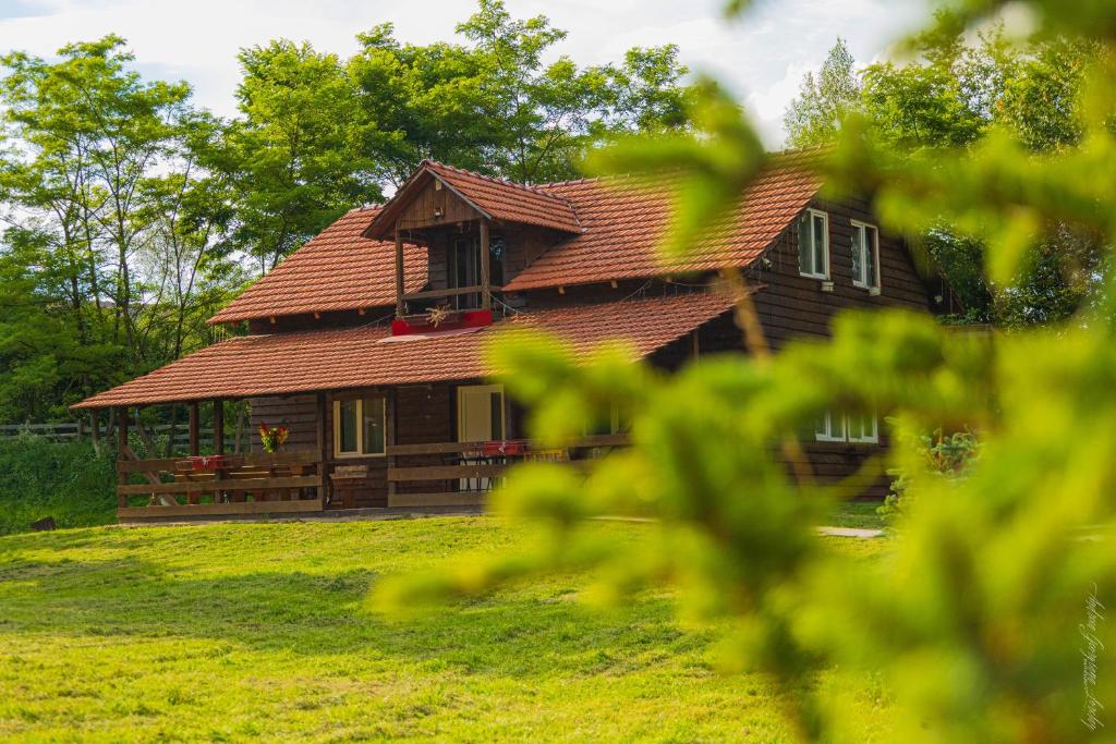 a wooden house with a red roof on a field at Cabana Amis in Poeni
