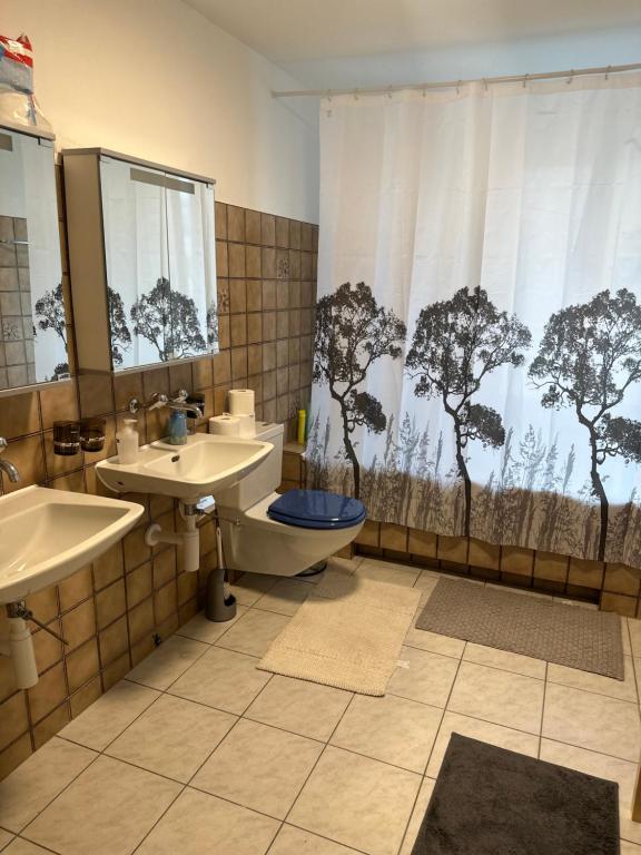 y baño con lavabo, aseo y cortina de ducha. en NTN HOUSE, en St. Gallen
