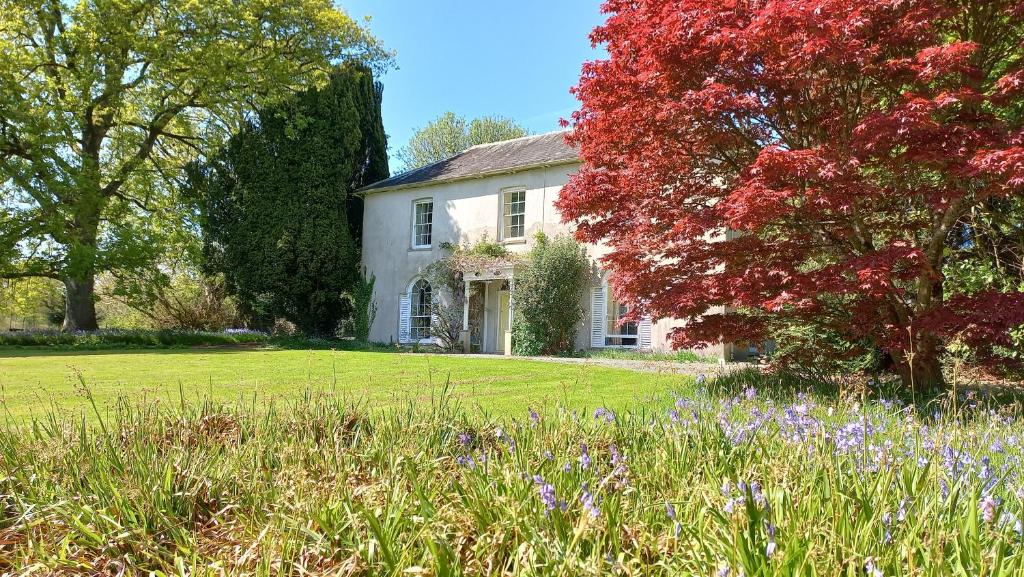 ein weißes Haus mit Bäumen und Blumen im Hof in der Unterkunft Gelly Dylan Thomas Paradise in Lampeter