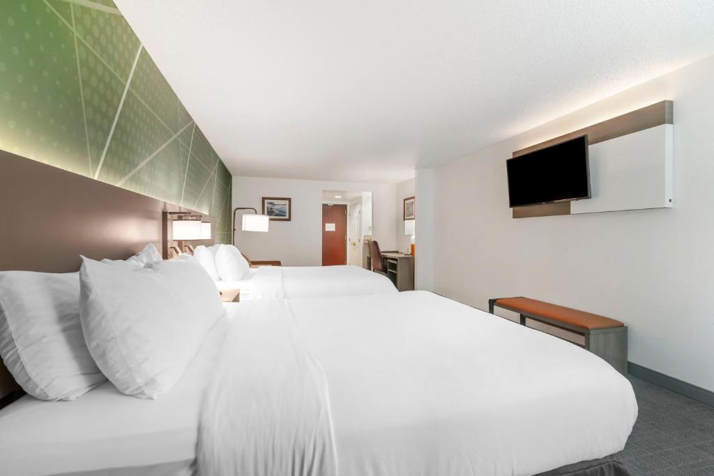Comfort Inn & Suites Lake George photo