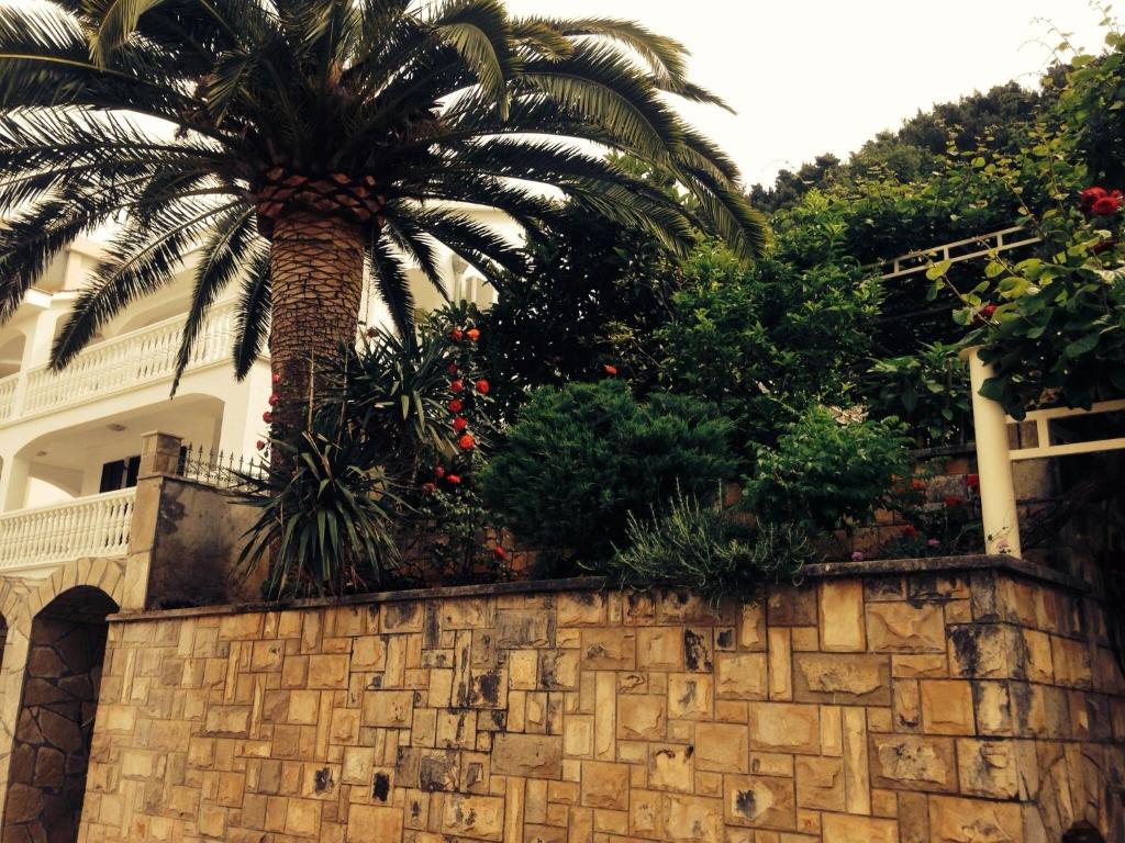 una palmera en la parte superior de una pared de piedra en Apartments Mara, en Budva