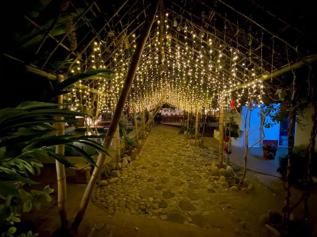 Giardino di Huitzilin Hostal