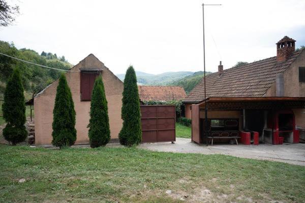 a house with trees in front of a yard at Cabana La Buligă in Armeniş