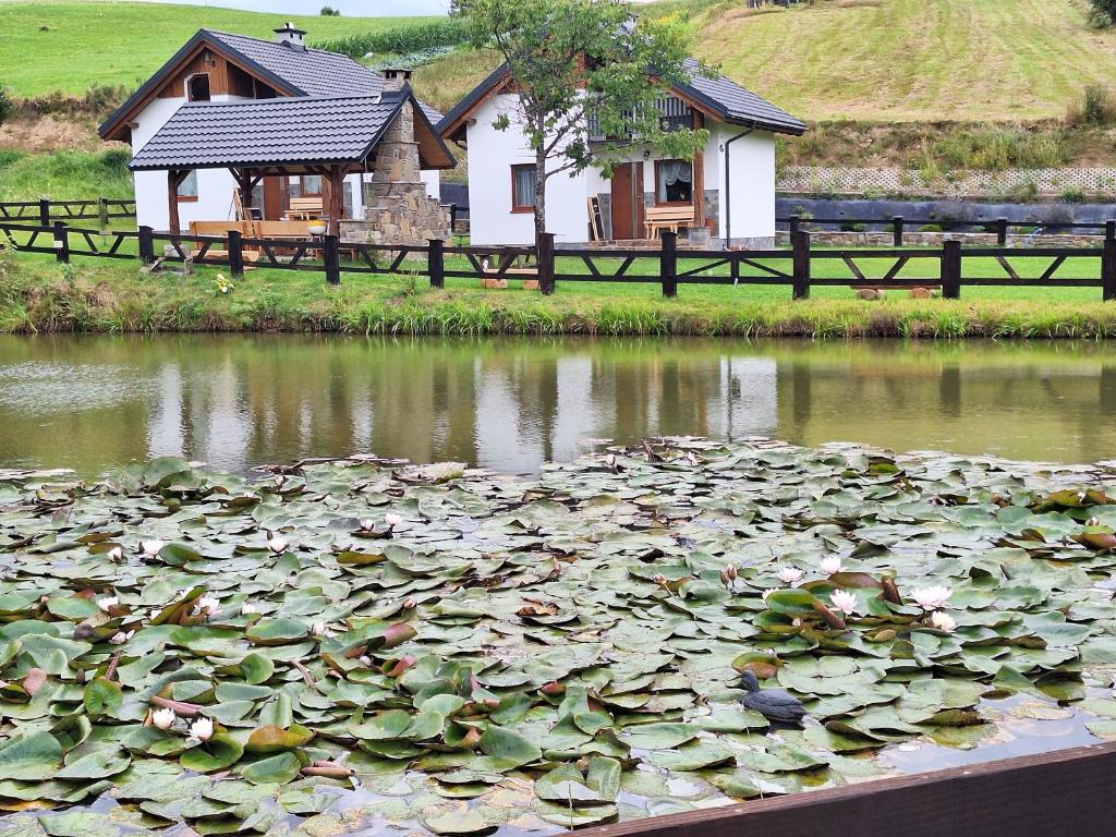 una casa y un estanque con lirios en Domki Nad Liliowym Stawem, en Berezka