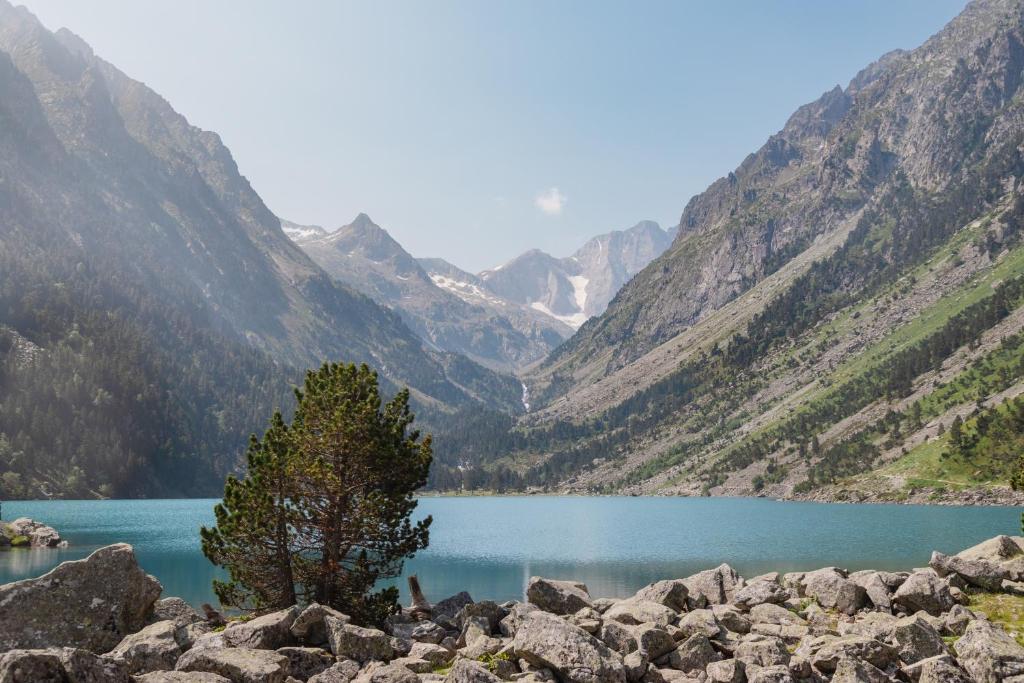 un albero in mezzo a un lago di montagna di Charmant Studio Pyrénéen a Pierrefitte-Nestalas