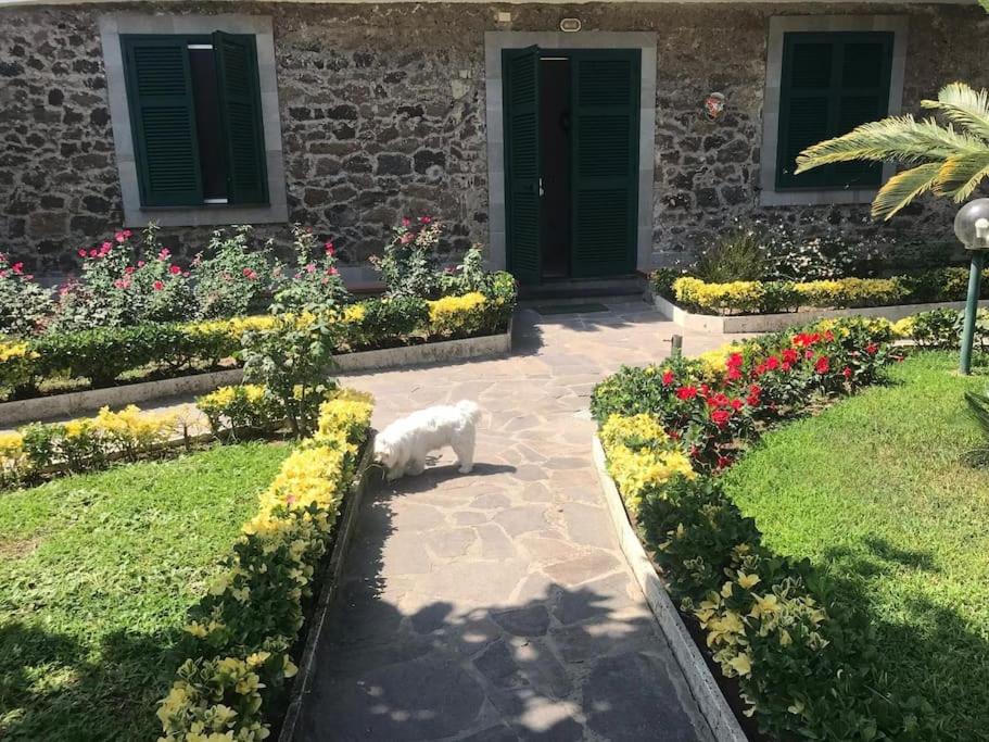 Zahrada ubytování Villa Vittoria, Ischia
