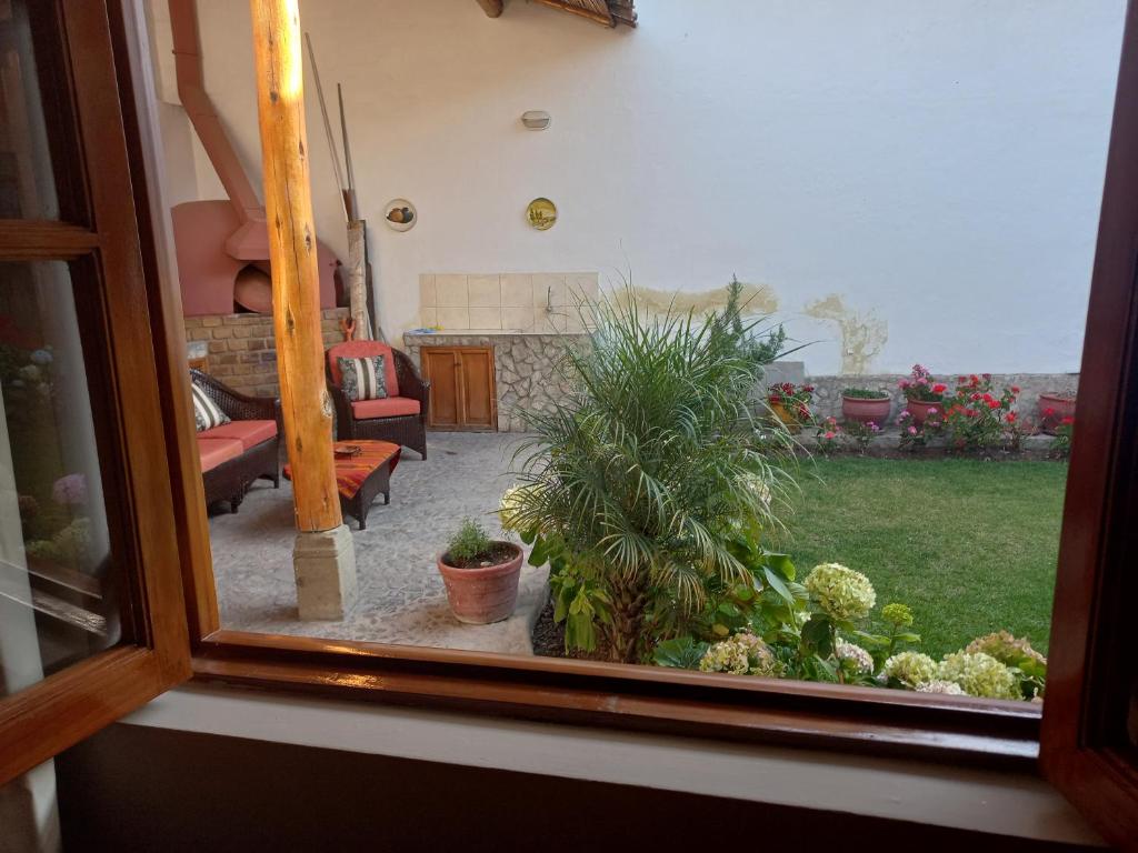 Zahrada ubytování Casa Pablo