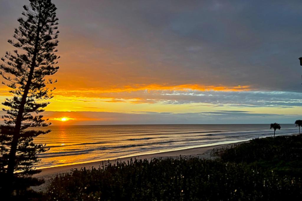 a sunset on the beach with a tree in the foreground at Turtle Time Suite in Satellite Beach