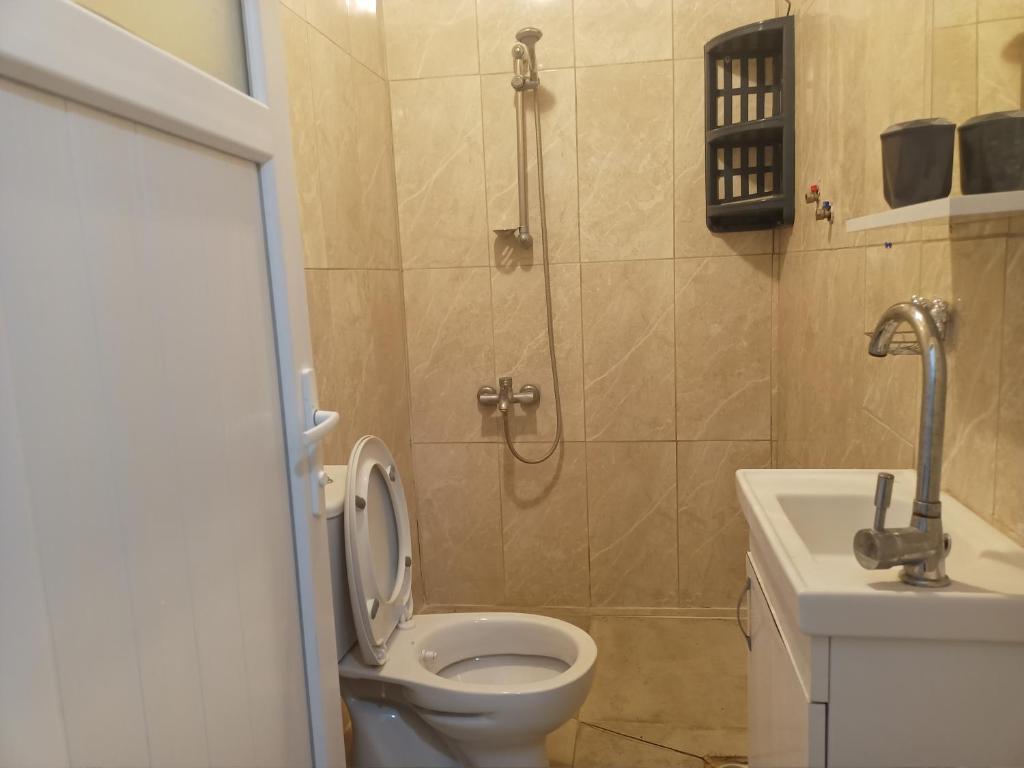 a bathroom with a toilet and a shower and a sink at Avcı Pansiyon in Gokceada Town