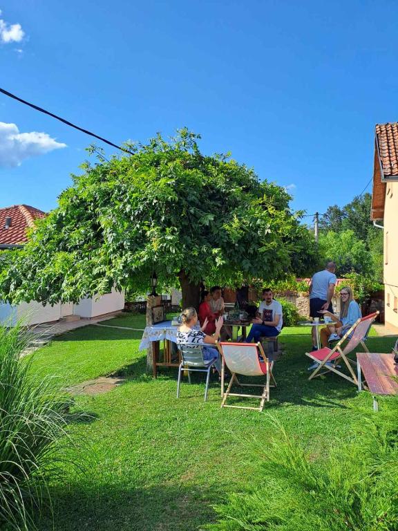 Zahrada ubytování Apartman Petrovic