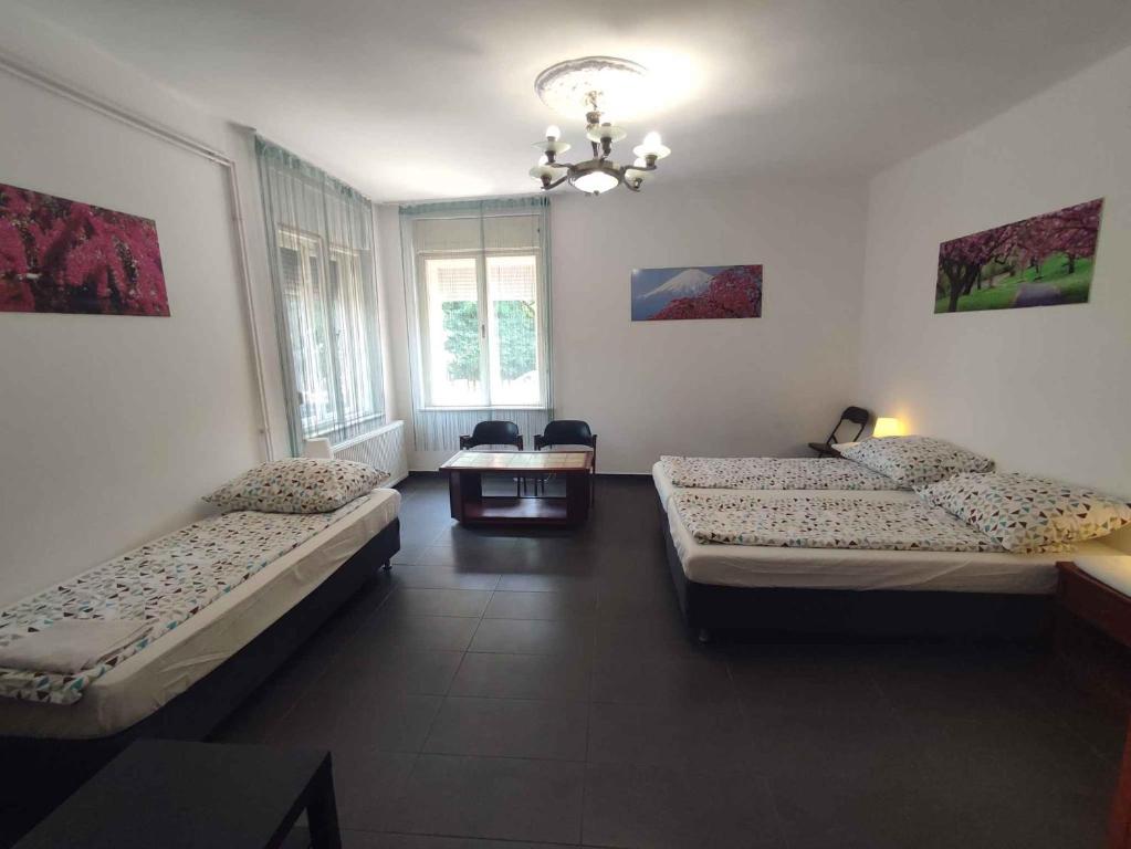 Postel nebo postele na pokoji v ubytování Apartment in Balatonalmadi 45314