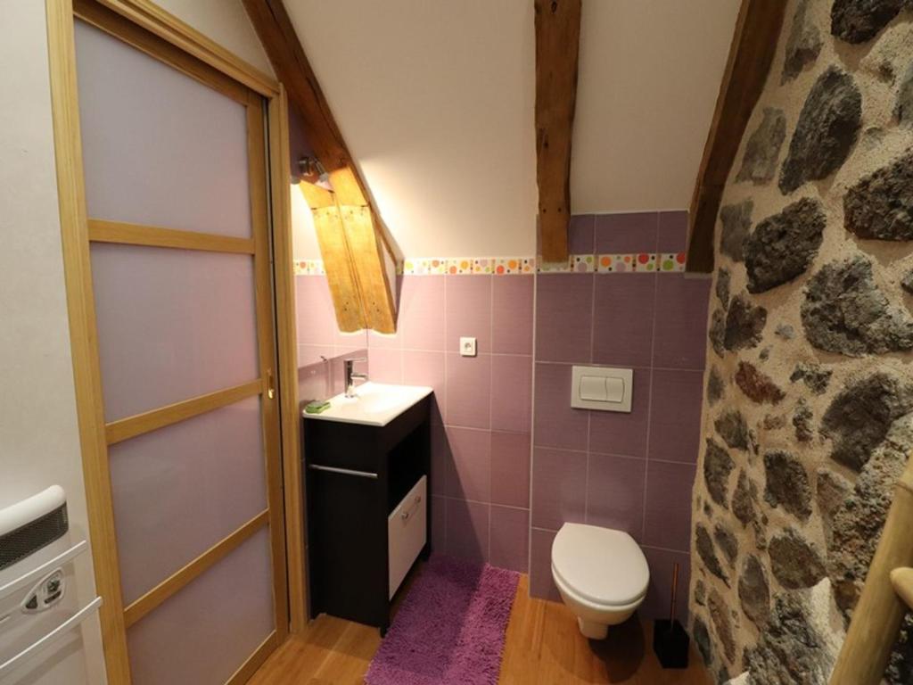 a bathroom with a toilet and a sink at Gîte Fontanges, 4 pièces, 6 personnes - FR-1-742-413 in Fontanges