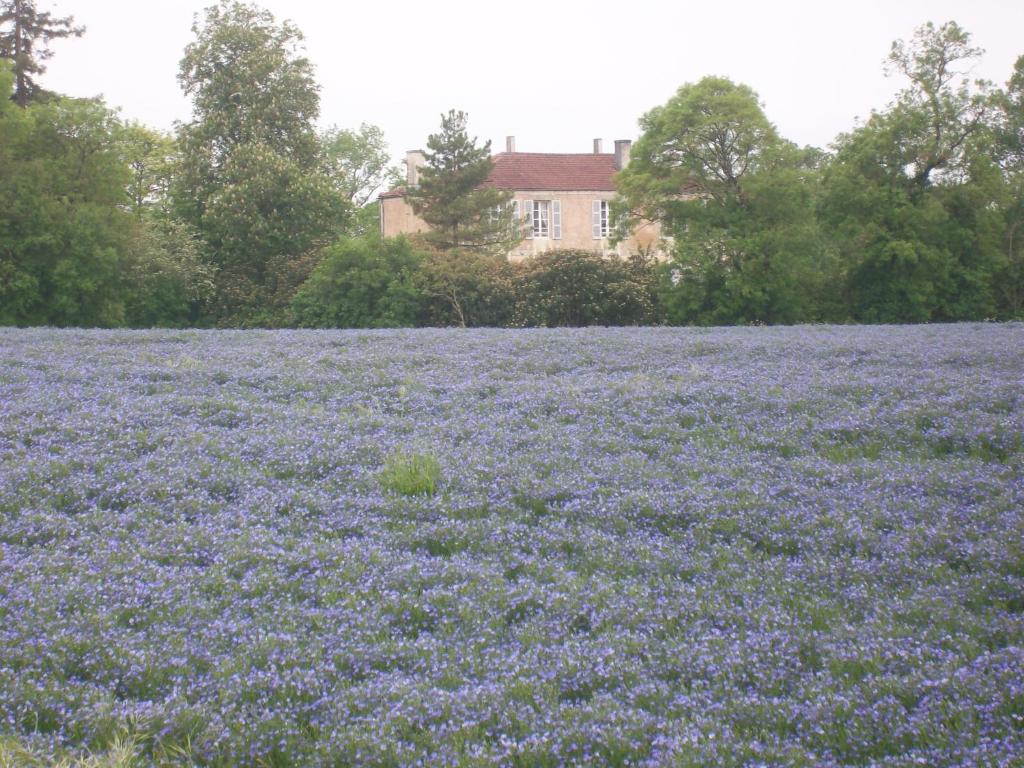 a field of purple flowers in front of a house at Manoir Angle in Blanzay-sur-Boutonne