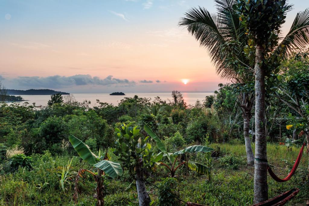 ロン島にあるSweet Jungle Bungalowsのヤシの木が生い茂るジャングルからの海上の夕日