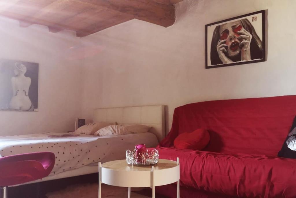- un salon avec un lit, une table et un canapé dans l'établissement Studio face Métro B l'hôpital Lyon Sud Fac de médecine, à Pierre-Bénite