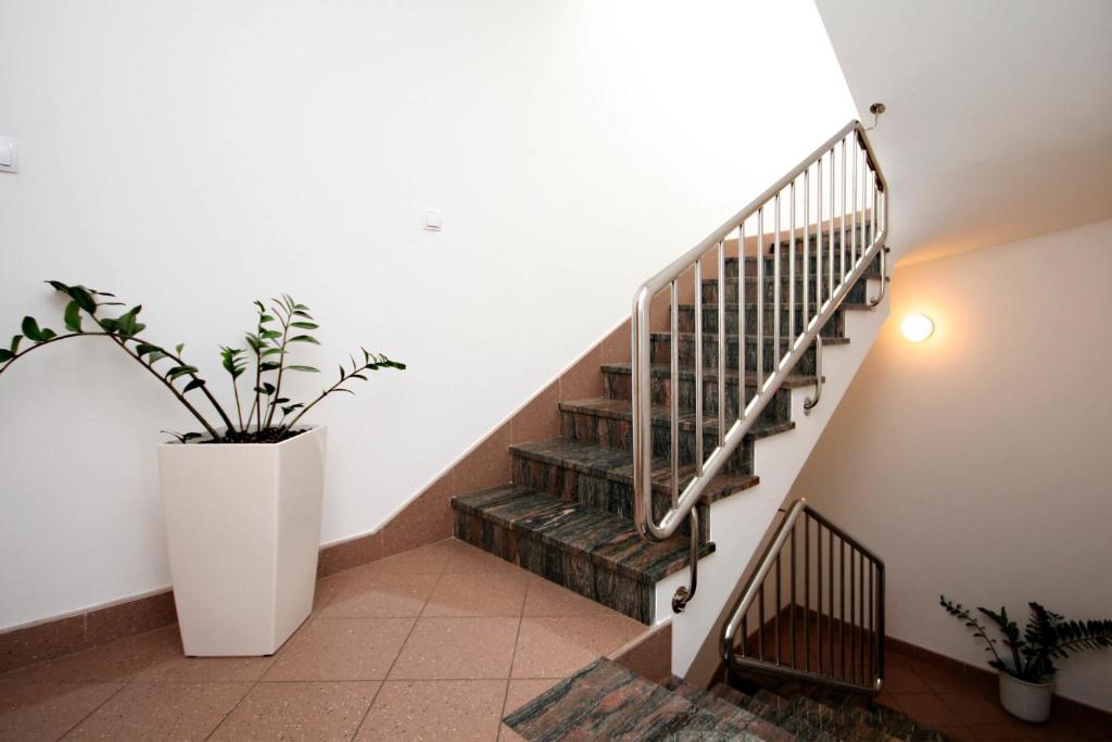 un escalier avec une plante en pot dans une pièce dans l'établissement Top Of The City, à Šibenik