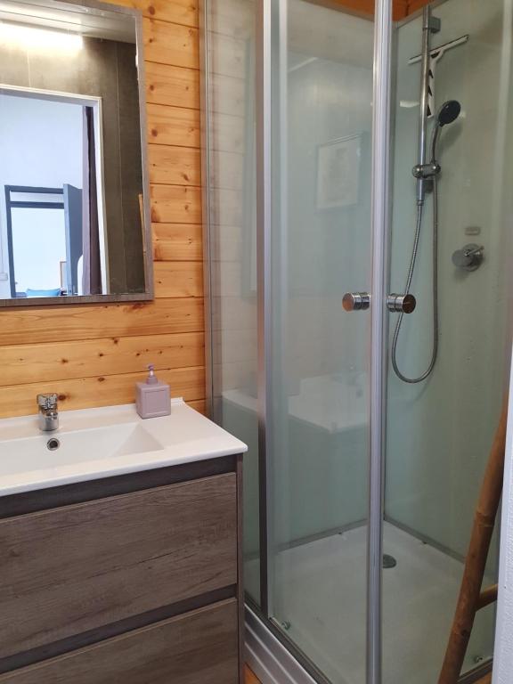 a bathroom with a shower and a sink at La Maison de Jeanne in Lesparre-Médoc