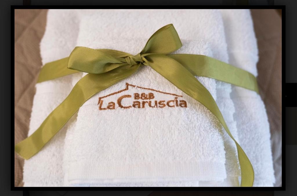 B&B La Caruscia في Trivento: منشفة بيضاء عليها شريط أخضر