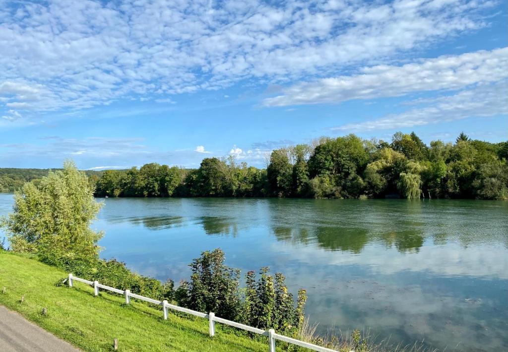a view of a river with trees and a fence at Bords de Seine et forêt proche de Paris et Fontainebleau in Bois-le-Roi