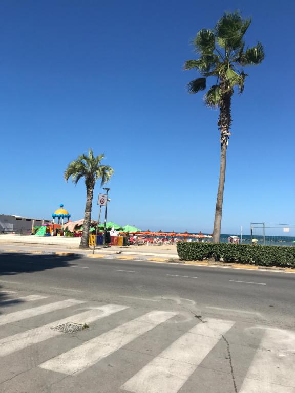 eine leere Straße mit einer Palme und dem Meer in der Unterkunft A due passi dal mare in Montesilvano