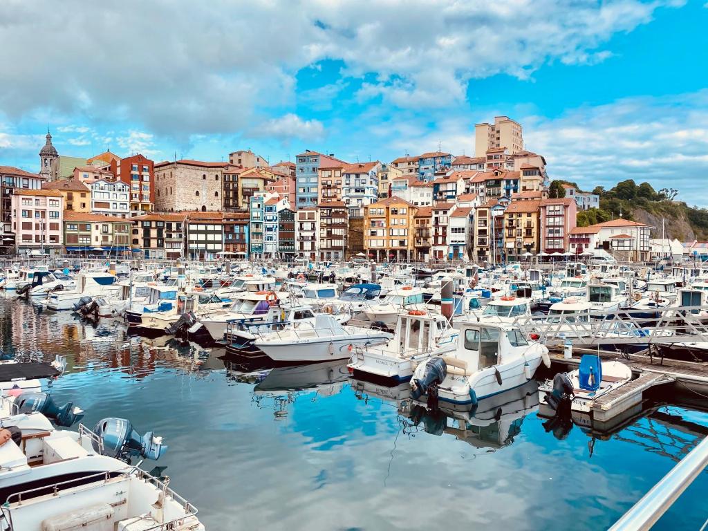 Blue house Bermeo - 15