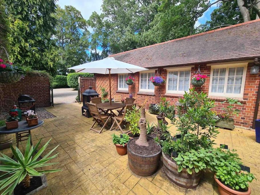 un patio con plantas, una mesa y una sombrilla en Oxfordshire Country Cottage, en Wallingford